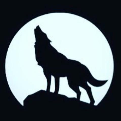 Alpha Wolf LLC
