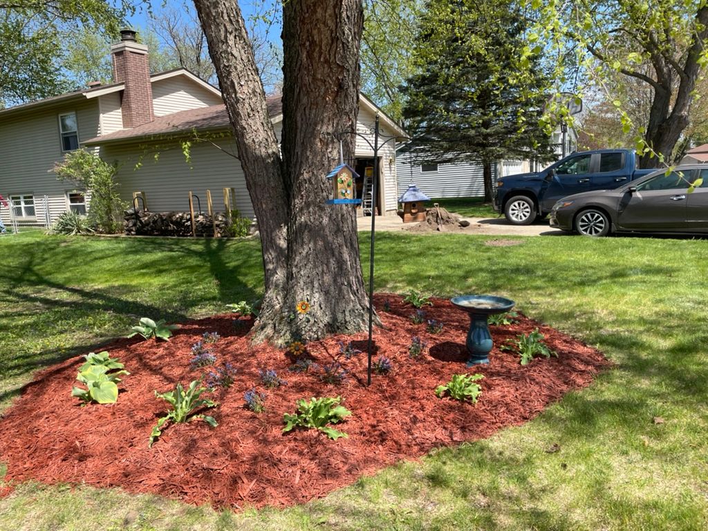 Customer photos