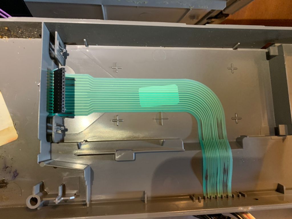 Burned dishwasher control panel.