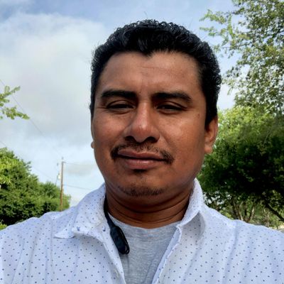 Avatar for BA Landscape & maintenance