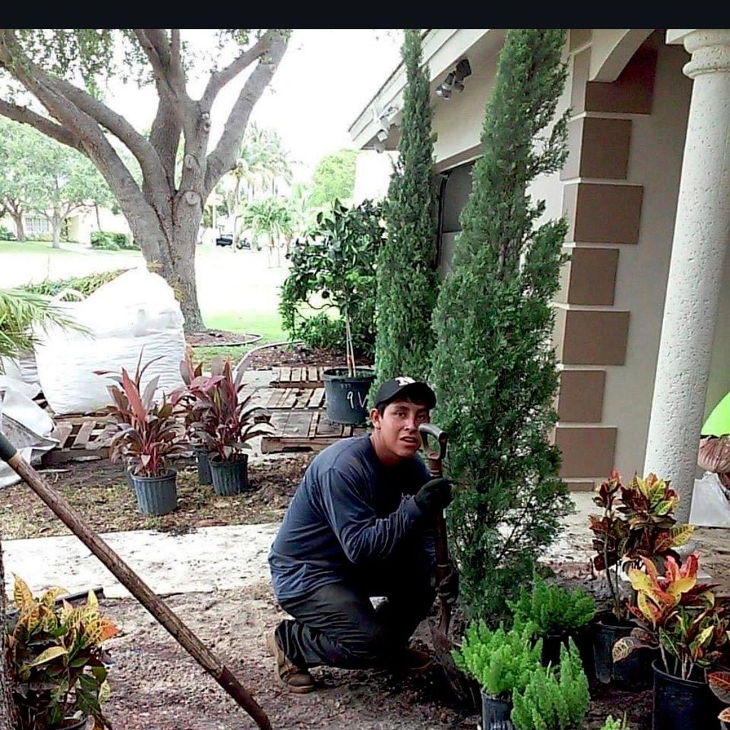 Tony gardening services