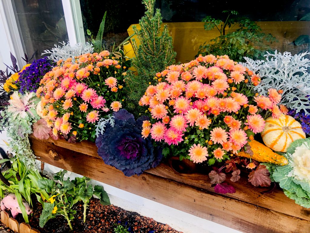 Custom built cedar window box and Fall arrangement