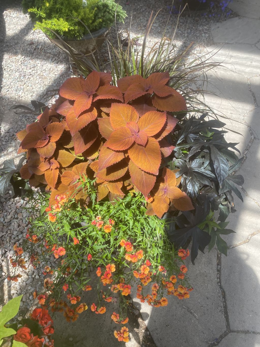 A warm toned arrangement that was enjoyed from Spr