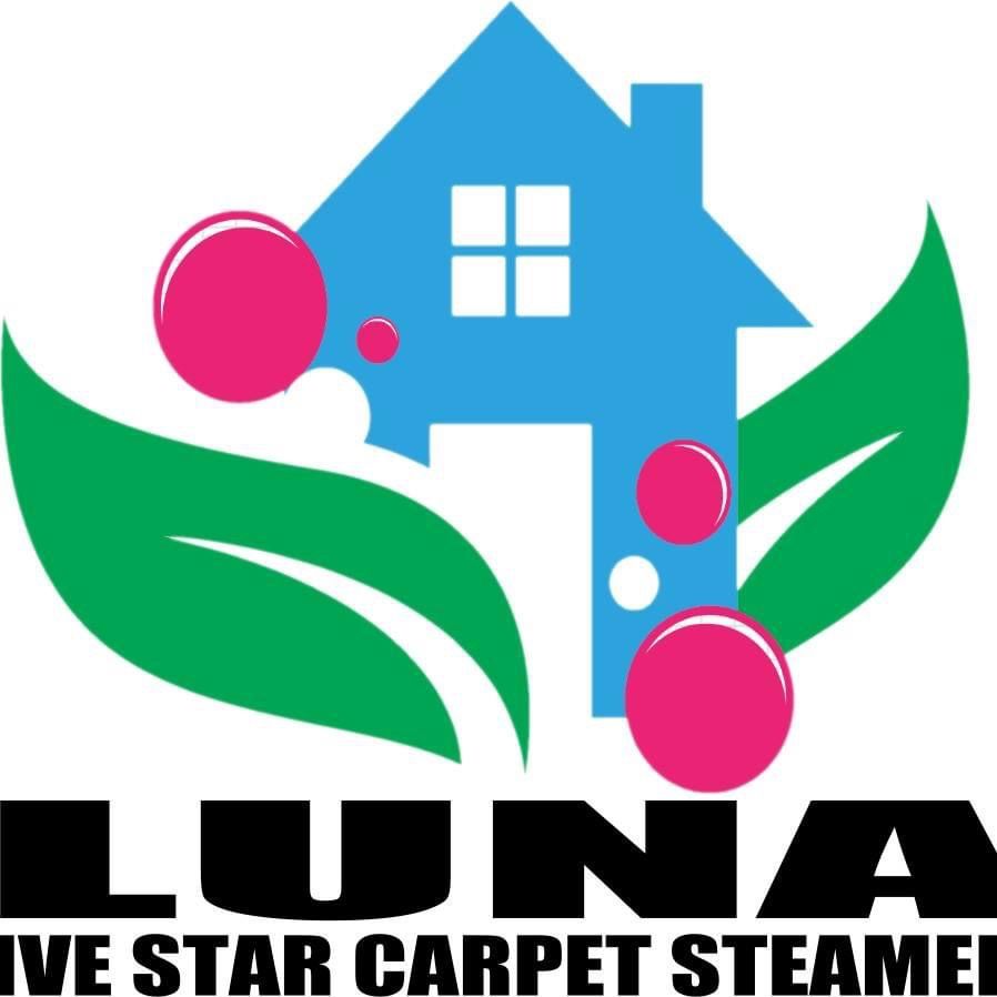 LUNA CARPET STEAMERS