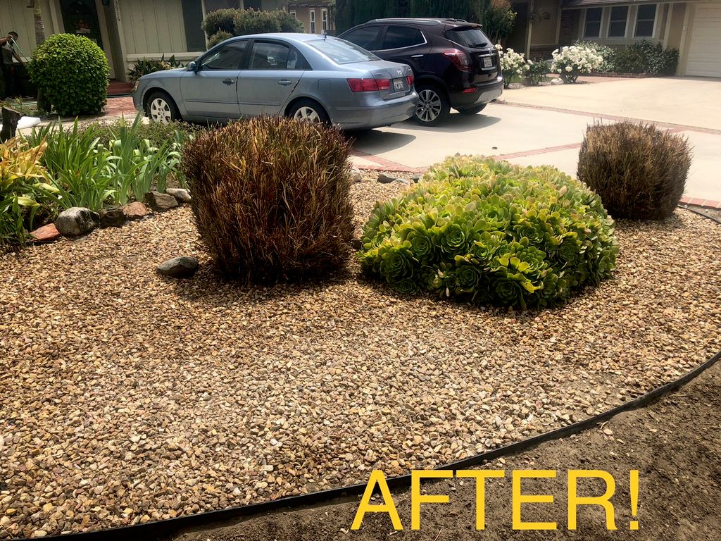 Customer photos