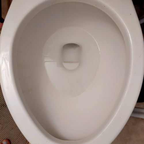 My son dropped something in the toilet, flushed it