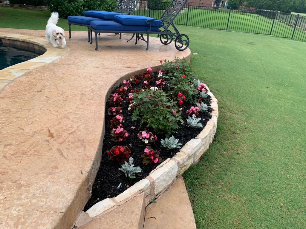 Customer photos