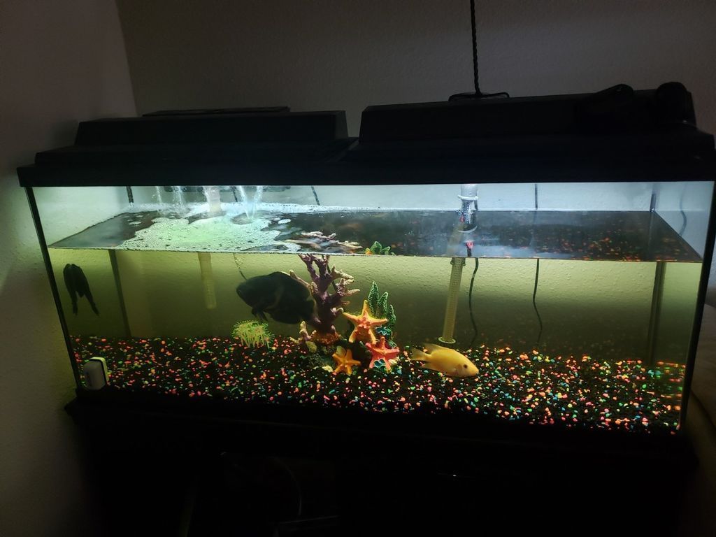 Customer photos