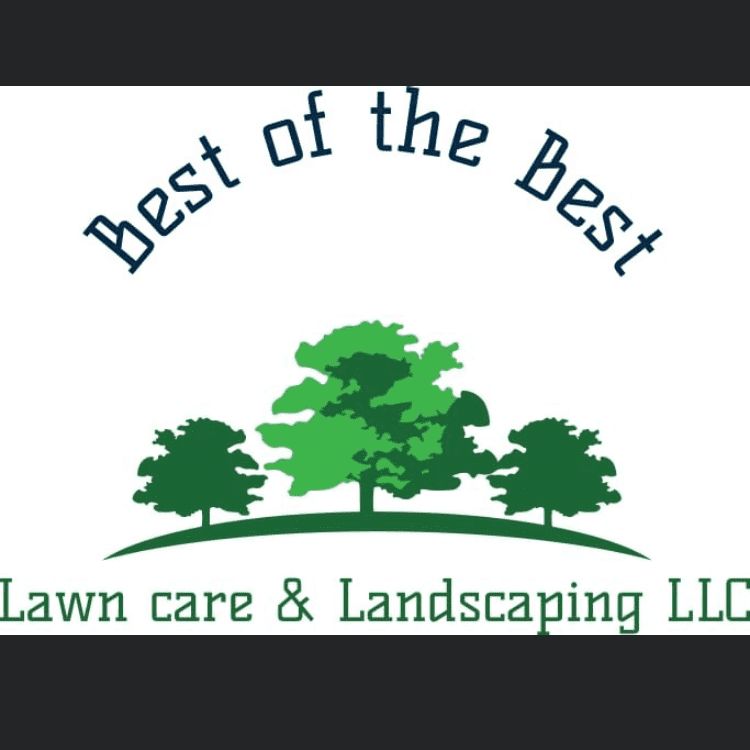 Best of the best lawn care and landscaping