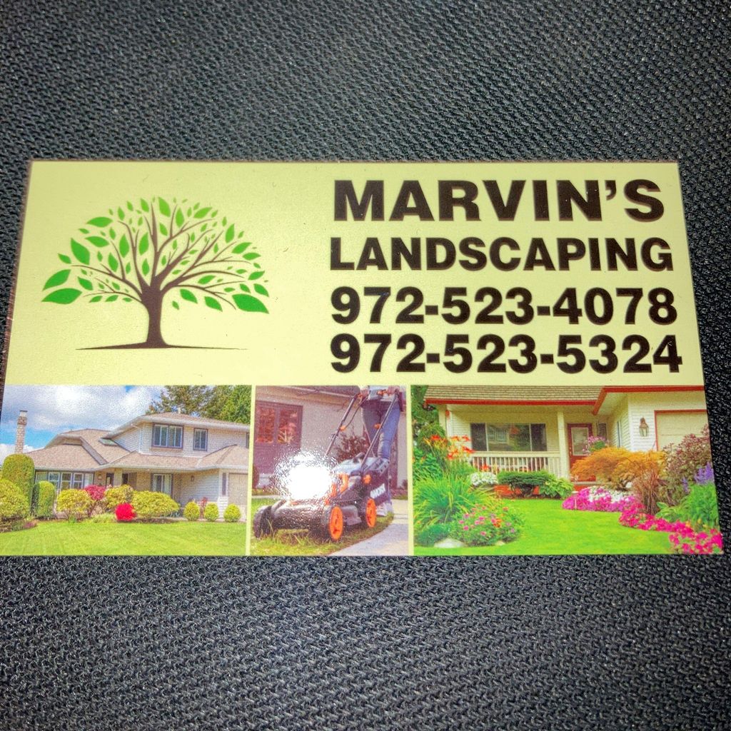 Marvin’s Landscape
