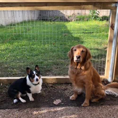 We are so happy with our new Patio/Pet Fence!  Thi