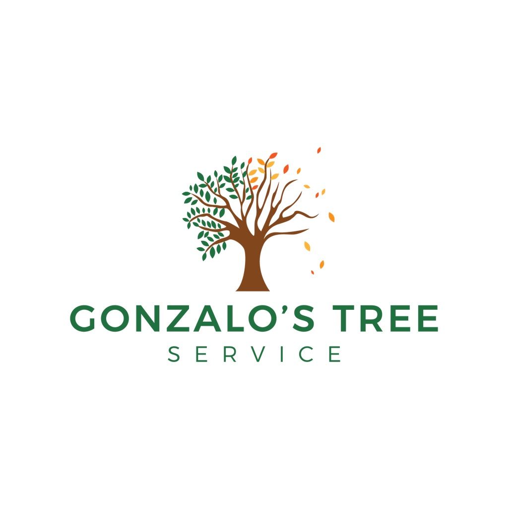 Gonzalo’s Tree Service & Landscaping