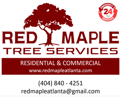 Avatar for Red Maple tree service
