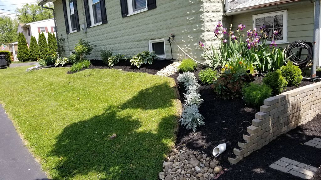 Customer photos