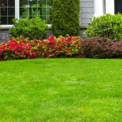 Avatar for José Gonzalez