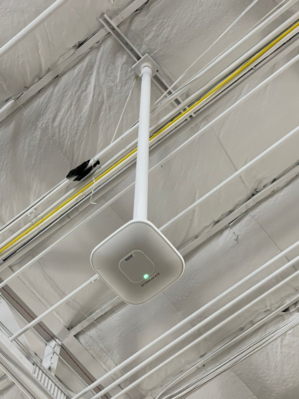 Cisco Wi-Fi access points setup for large business