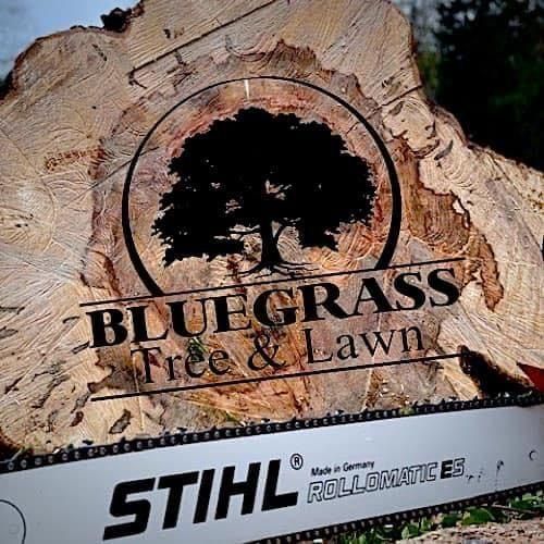 Bluegrass Tree&Lawn LLC - Fernandina Branch