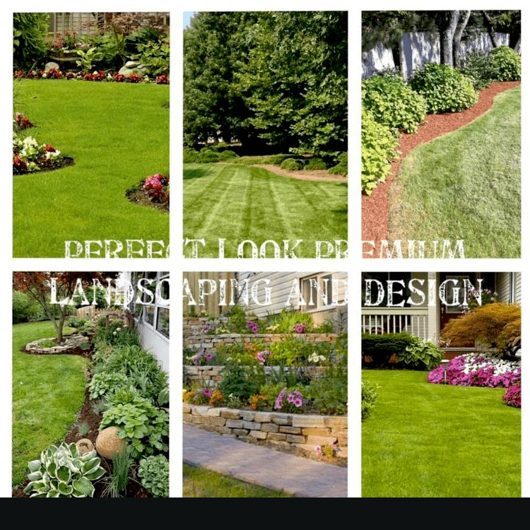 Perfect look Premium Landscaping