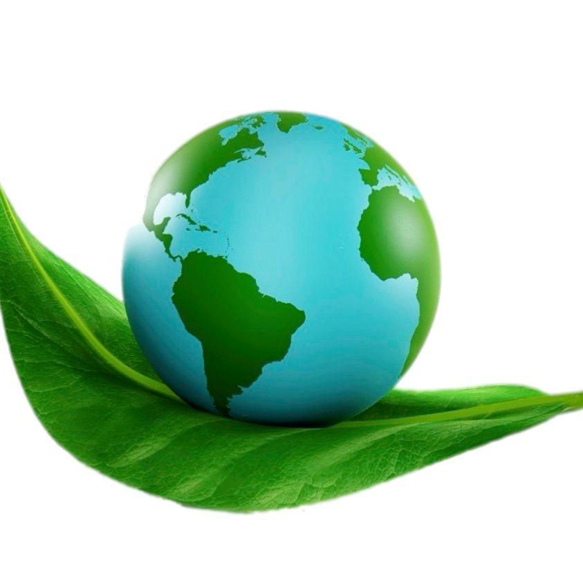 Planet Green Tree Service