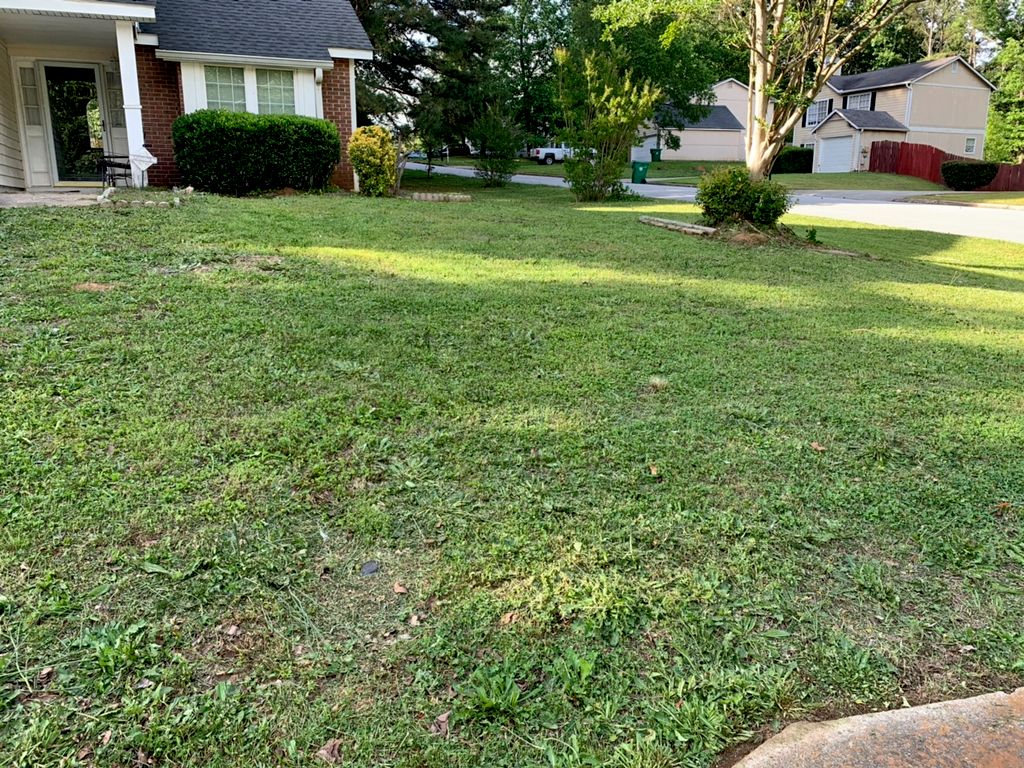 Customer photos