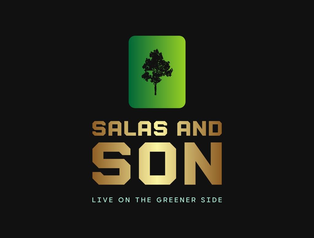 Salas and son