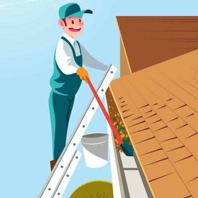 Avatar for Blue Skies Home Services