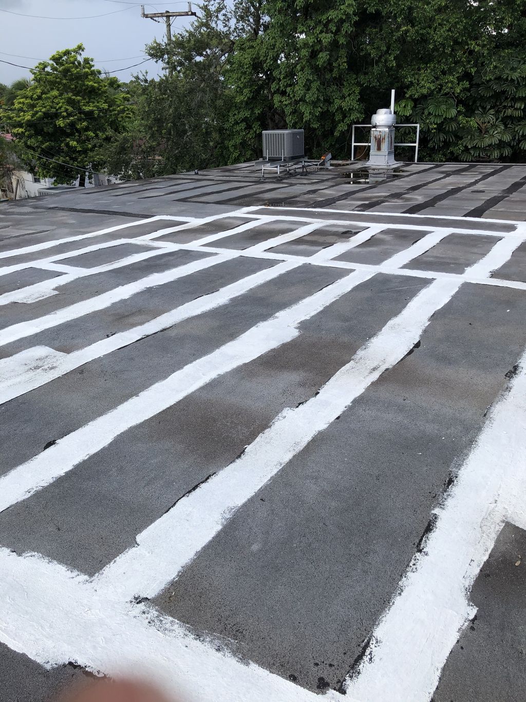 Pro roofing contractor flat roof specialist