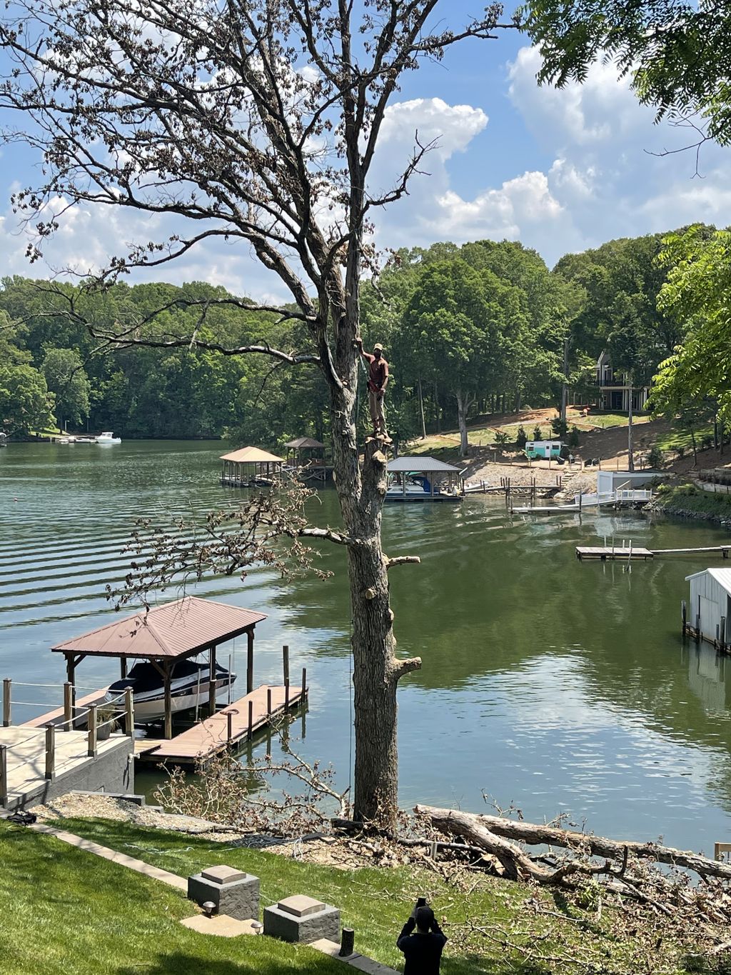 Tree Trimming and Removal