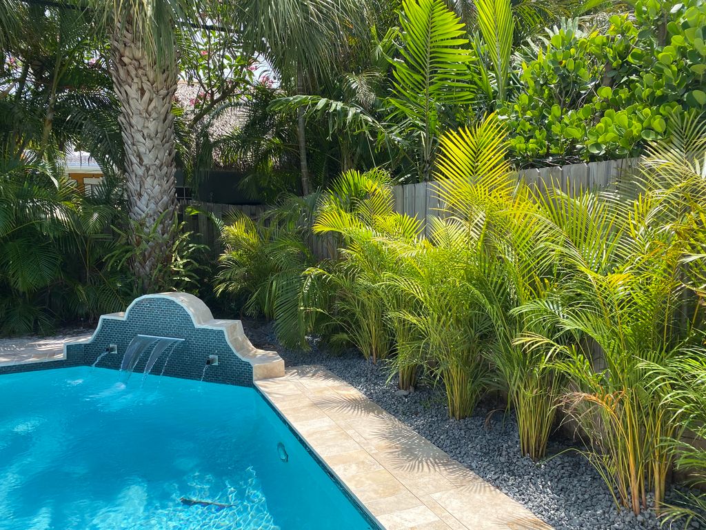 Areca Palm Privacy hedge installed with stones