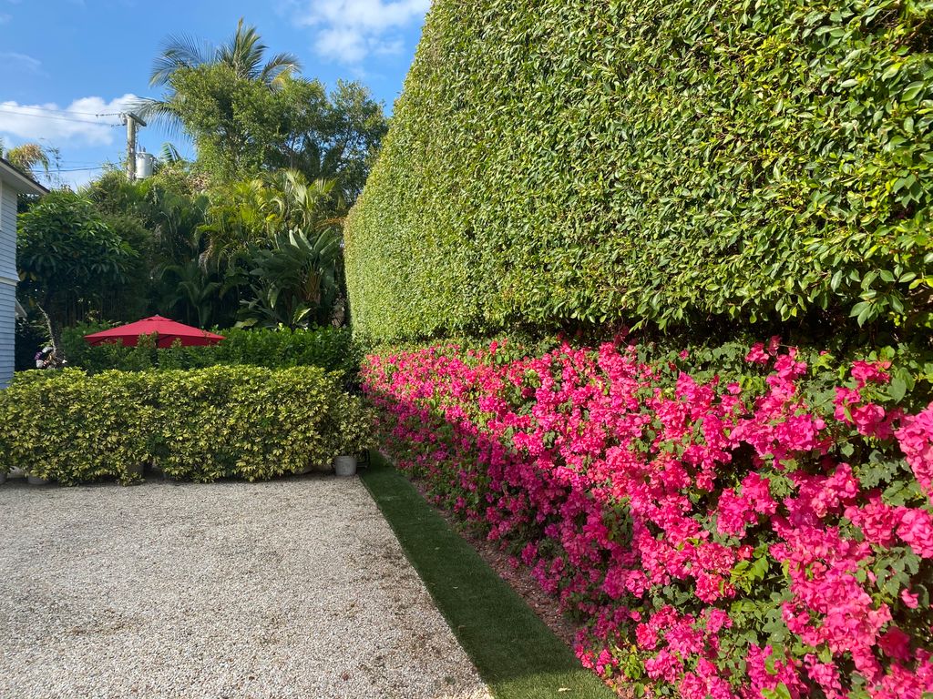 Double Hedge Trimmed Tight