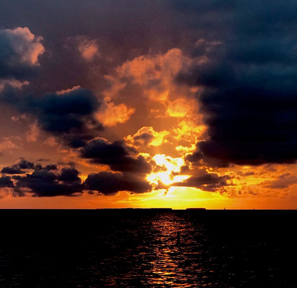 Sunset at local park