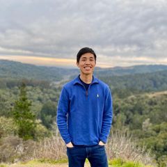 pro avatar