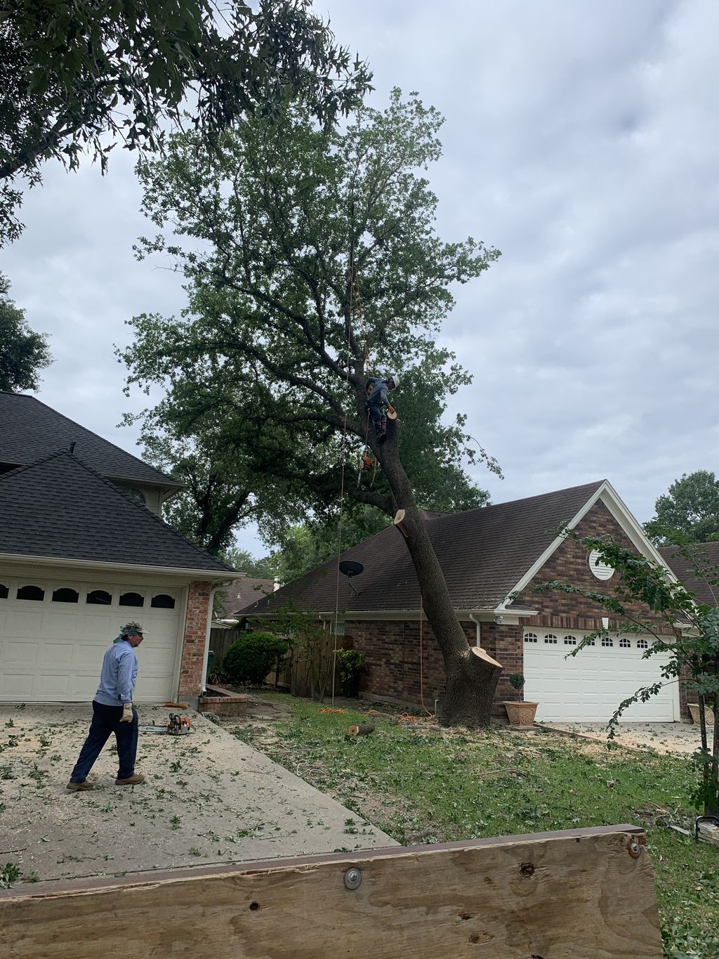 AA LAWNCARE AND TREE SERVICES