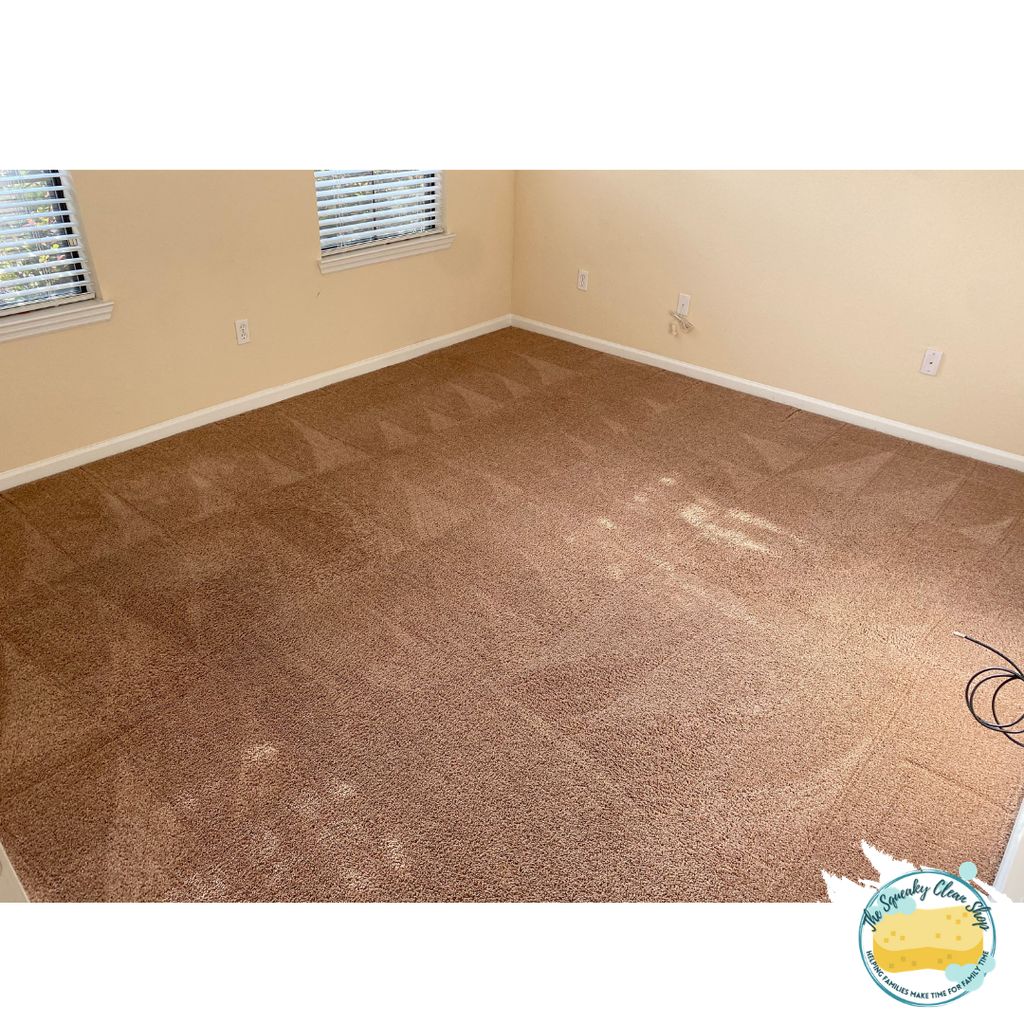 Carpet Patterns 