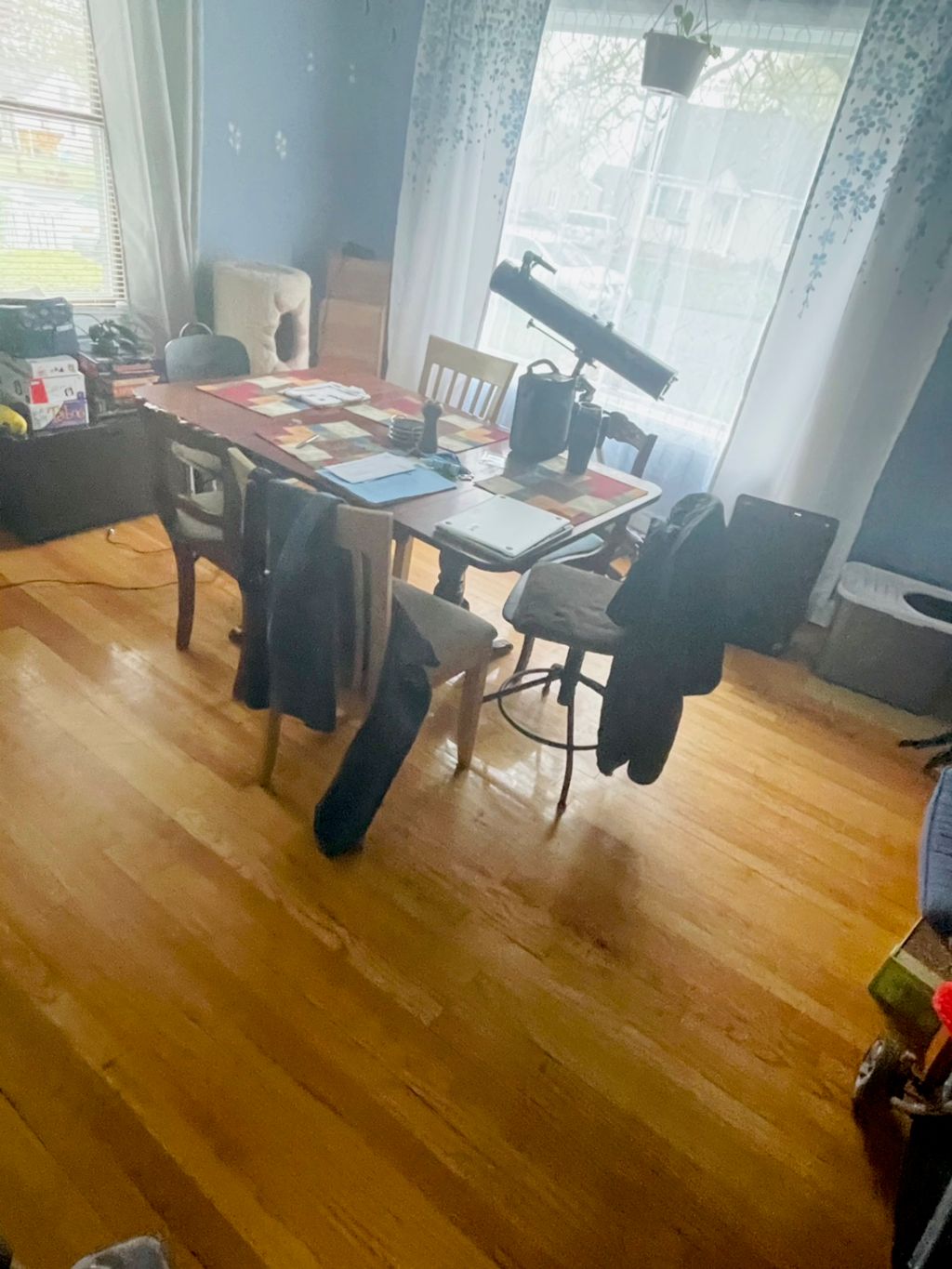 Projects and media