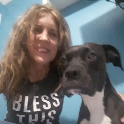 Avatar for Dog Gone It Pet Sitting