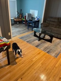 We are pet friendly as well! 