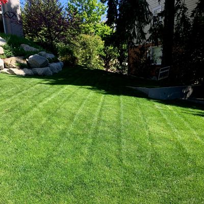 Avatar for Imagination Lawn Care Llc