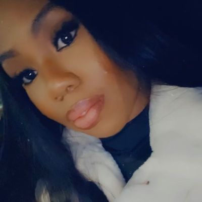 Avatar for Boncy Paw Palace