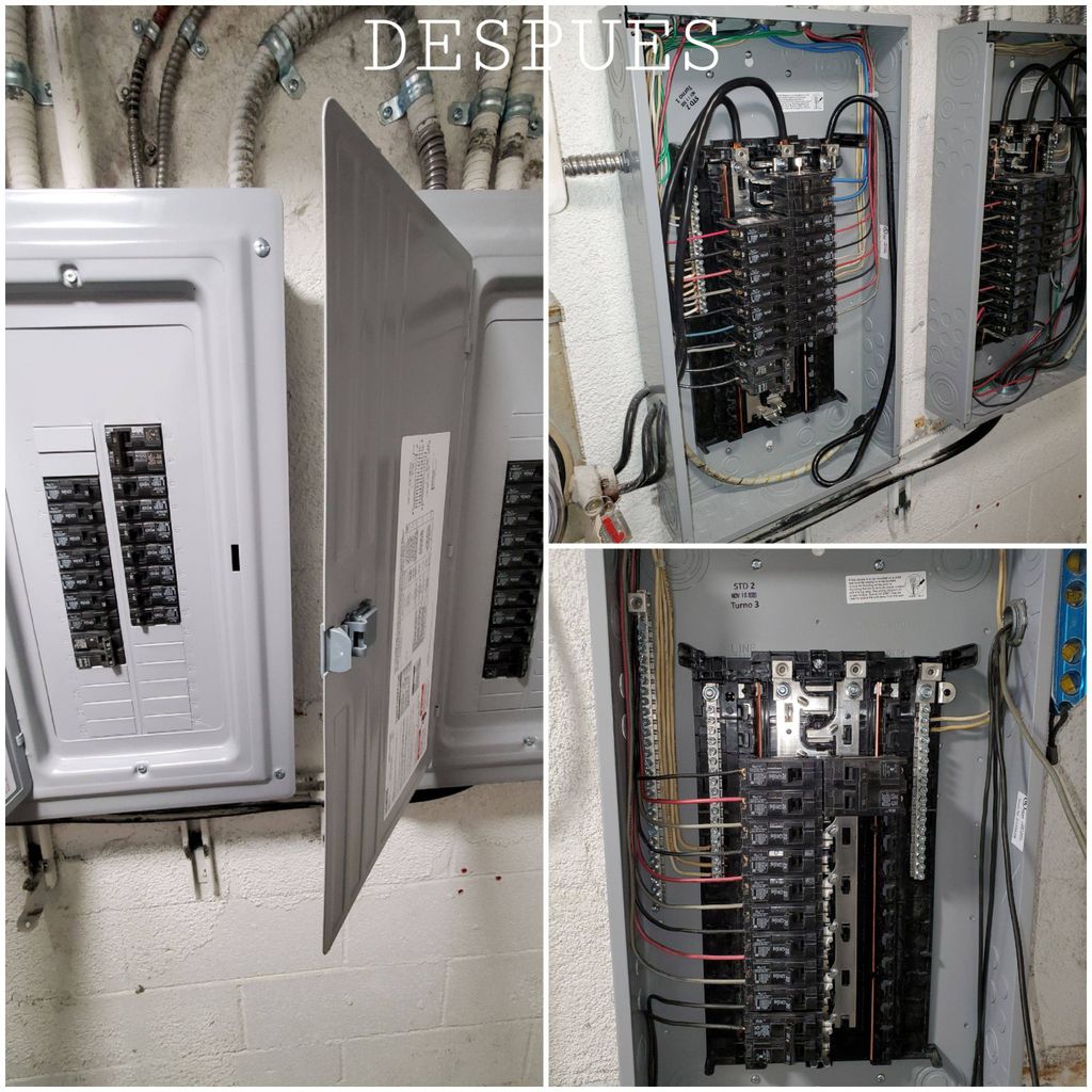 Projects and media