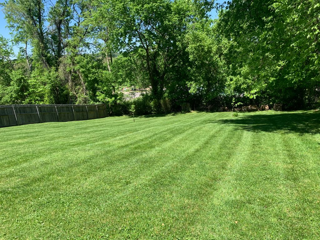 Lawn Mowing and Trimming