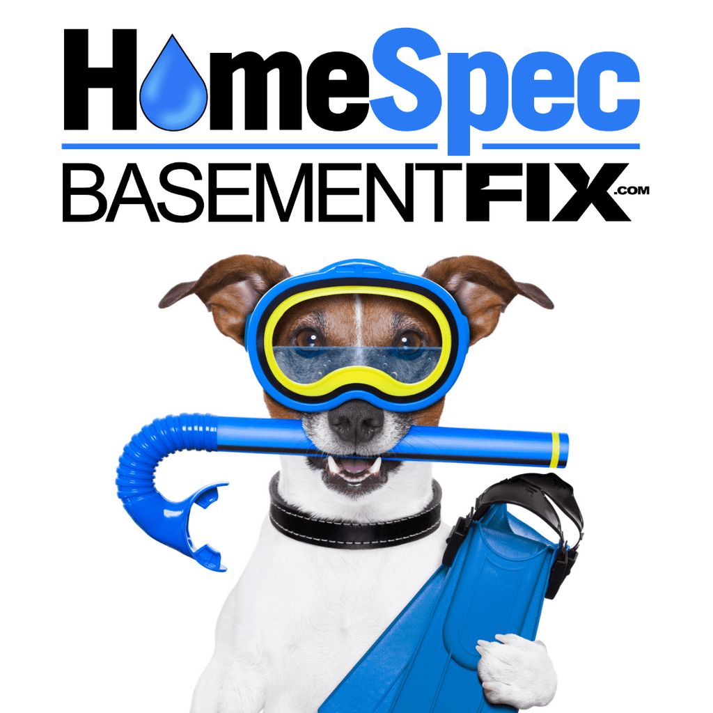 HomeSpec BasementFix