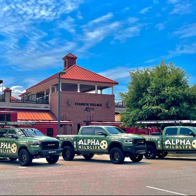 Avatar for Alpha Wildlife Columbia