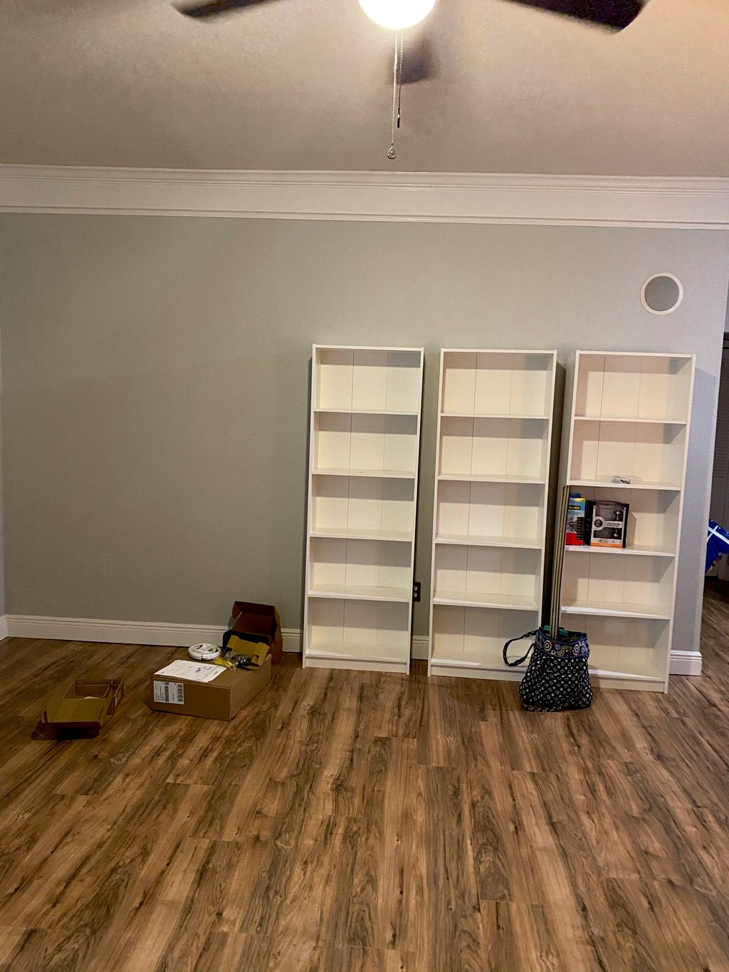 Projects and media
