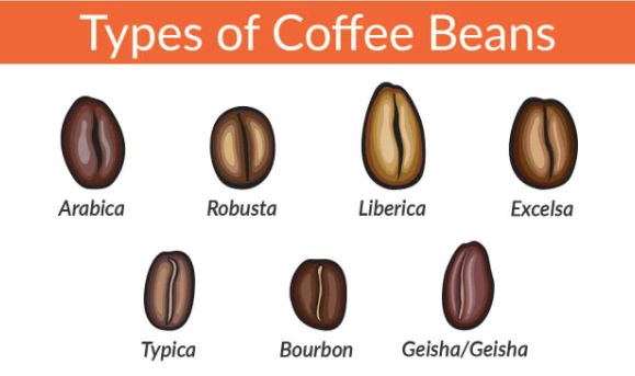 Sharing coffee knowledge.