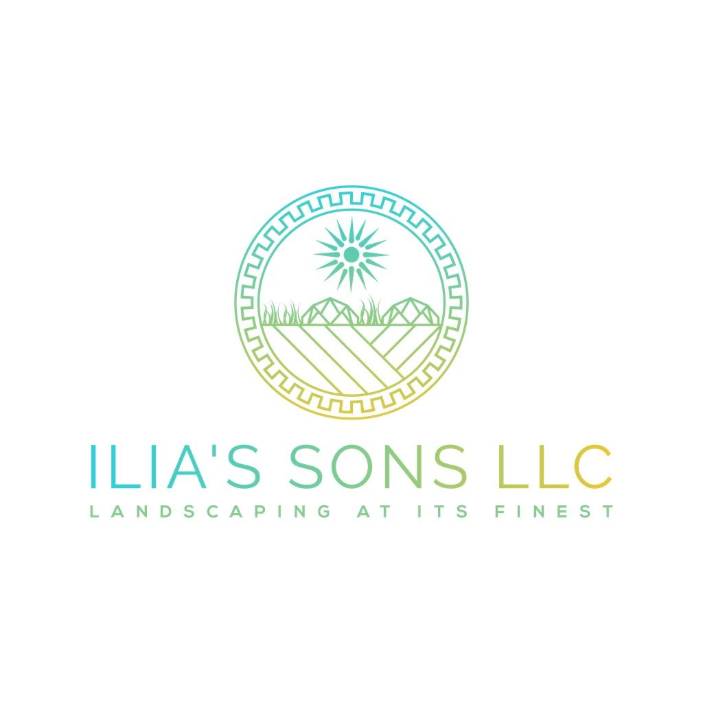 Ilia's Son’s Construction LLC