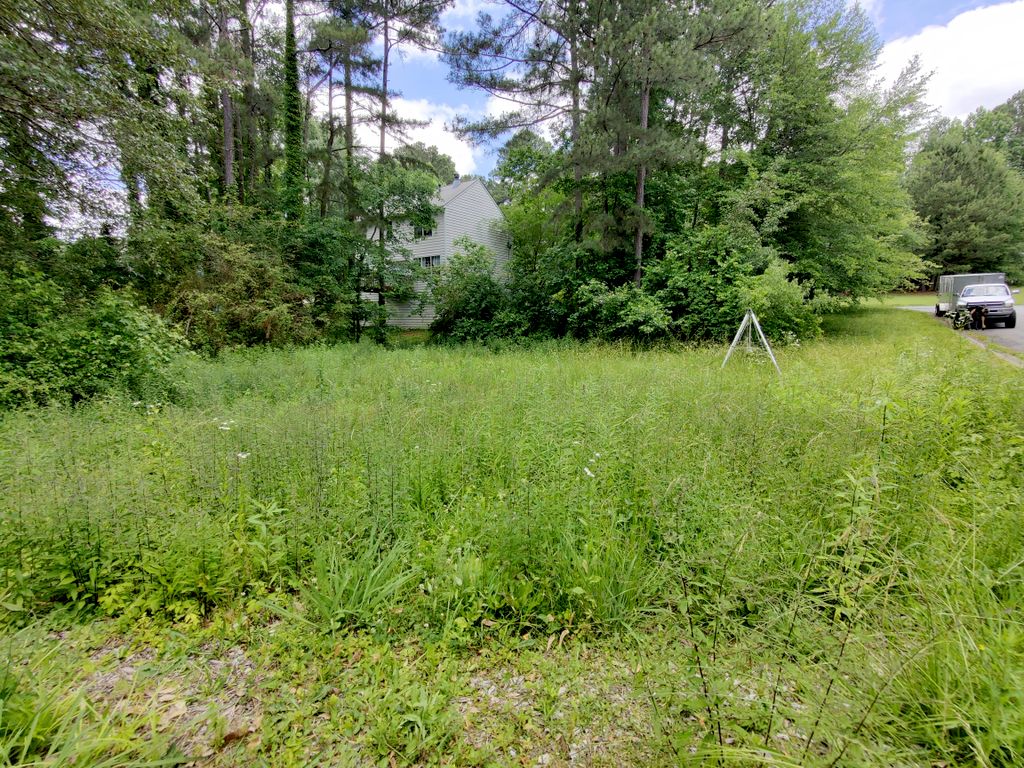 Overgrown Property Clean Up 1 (Before)