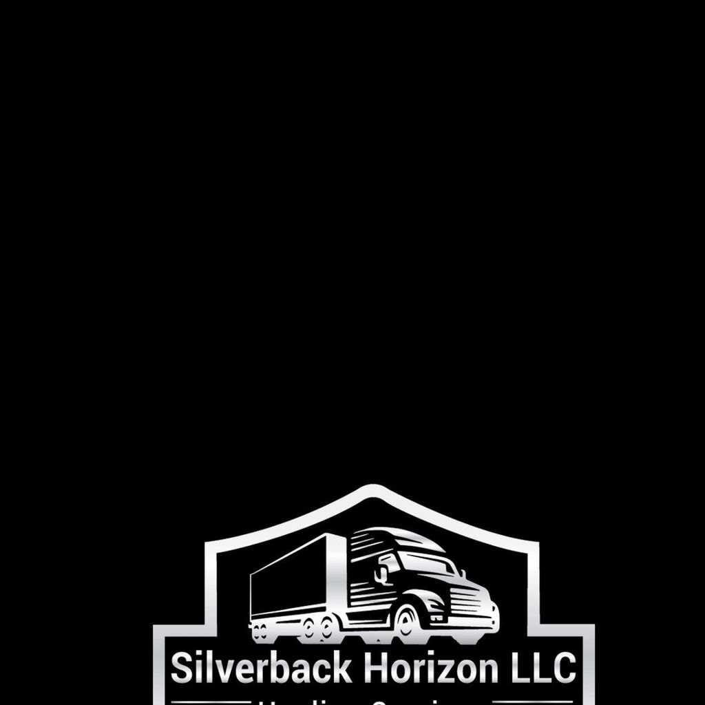 Silver back Horizon LLC