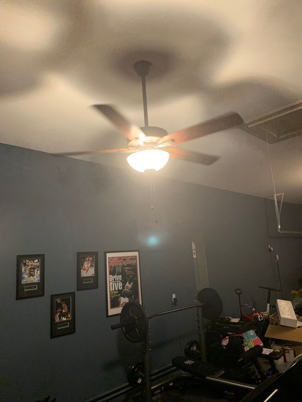 Projects and media