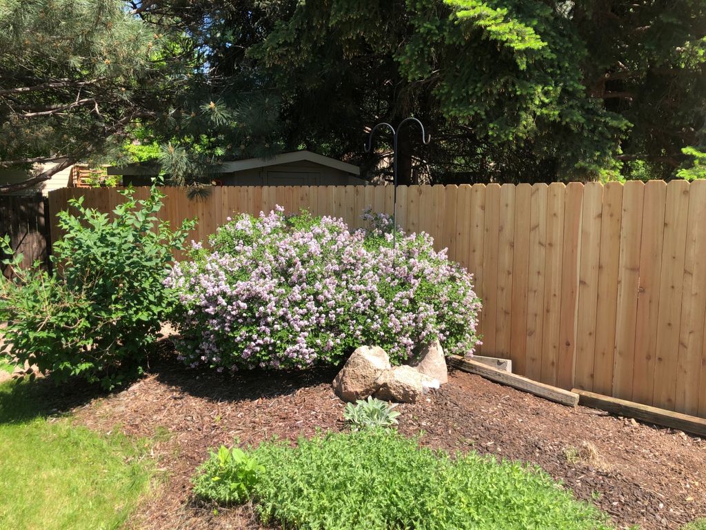 Customer photos